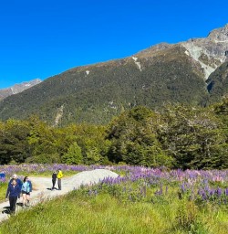 Milford Sound Routeburn Track 16 December 2024 6