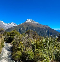 Milford Sound Routeburn Track 16 December 2024 7