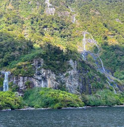 Milford Sound adventure hiking tours 