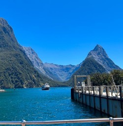 Milford Sound cruise hike Routeburn Track 30 December 2024 11