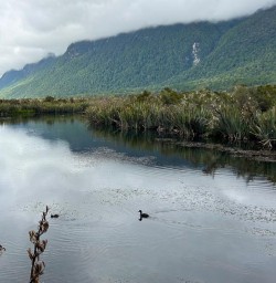 Milford Sound cruise hike Routeburn Track 30 December 2024 2