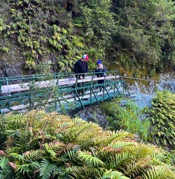 Milford Sound cruise hike Routeburn Track 30 December 2024 4