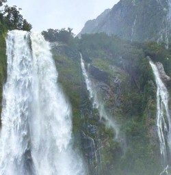 Milford Sound cruise