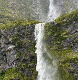 Milford Sound hiking tours