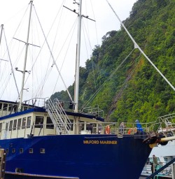 Milford Sound small group tours