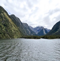 Milford Sound walking tours