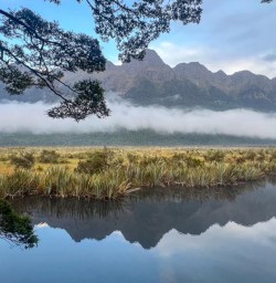 2 Mirror Lakes Fiordland National Park 17FEB25
