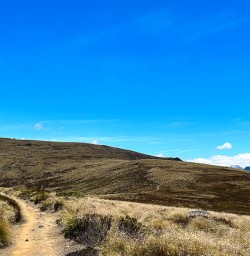 New Zealand Trails Kepler Track hiking tour 