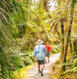 Paparoa National Park walking tours 2