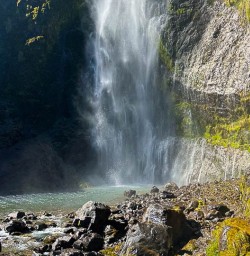 Paparoa National Park walking tours in NZ