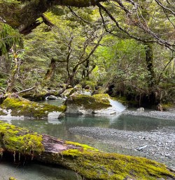 Routeburn Track New Zealand 