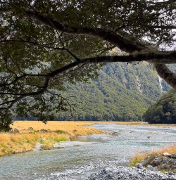 Routeburn Track Walking tours 