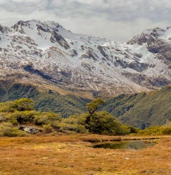 The Routeburn Track to Key Summit