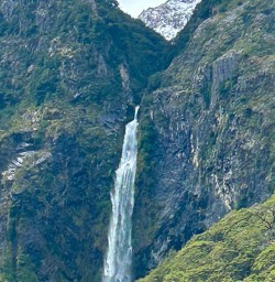 Walking tours to Paparoa National Park