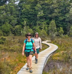 Board walk on Kepler Track