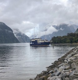 Boat at Milford Sound, Fiordland Southland New Zealand