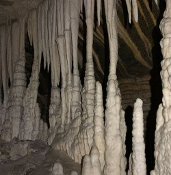 Stalagmites in the caves