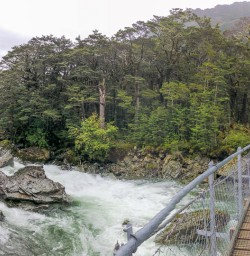 Crossing Routeburn Track River, Otago New Zealand