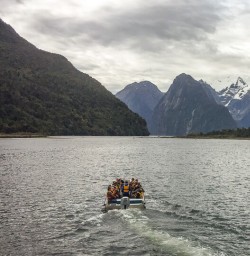 Milford Sound cruise, Fiordland Southland New Zealand