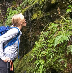 Drinking water at Routeburn Track, Otago New Zealand