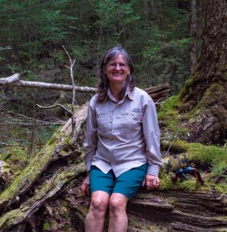 Guest in Kepler forest