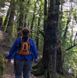Hiking in Fiordland