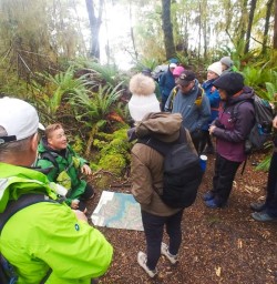 Hiking kepler track new zealand2