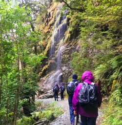 A little bit of rain makes for pretty waterfalls. On the Routeburn Track.