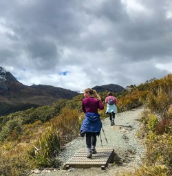 Hiking to Key Summit on Routeburn Track
