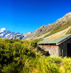 Aoraki/Mount Cook in the sunshine