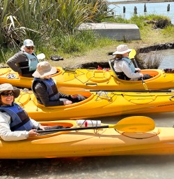 Kayaking okarito lagoon adventure 