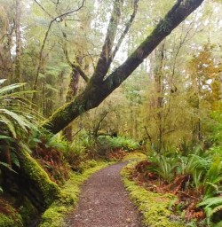Kepler track south island2