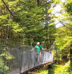 Kepler Track swing bridge
