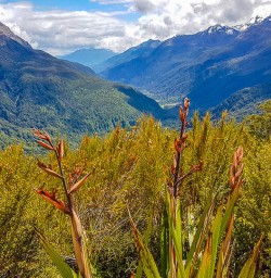 Key Summit valley routeburn track2