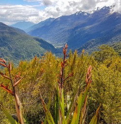 Key Summit Lookout Trail Lake, Fiordland New Zealand