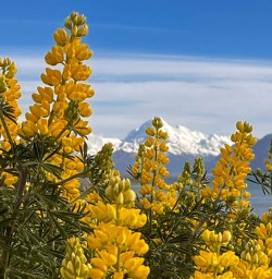 Lake Pukaki hiking tour adventure3