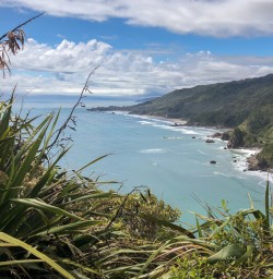 Meybille Bay, West Coast New zealand