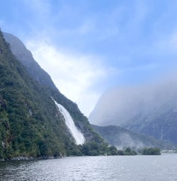 Milford Sound small group tour