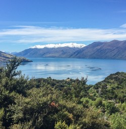 Mou Waho Island, Lake Wanaka Otago New Zealand