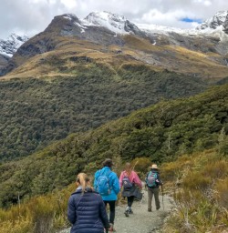 Mountains surrounding the Routeburn track