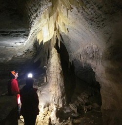 2 nile river glowworm caves nz2