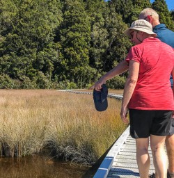 Okarito Trig Walk, West Coast New Zealand