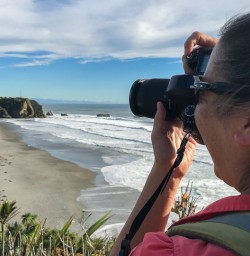 Paparoa National Park, West Coast New Zealand