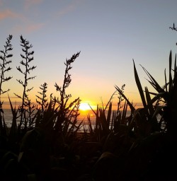 sunset at paparoa national park new zealand