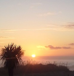 sunset at paparoa national park