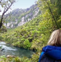 view on paparoa national park 
