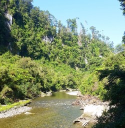 view of paparoa national park new zealand