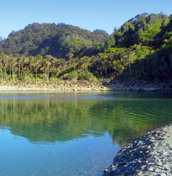 paparoa national park