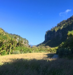 paparoa national park