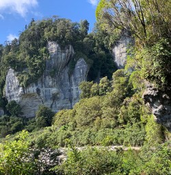Paparoa National Park